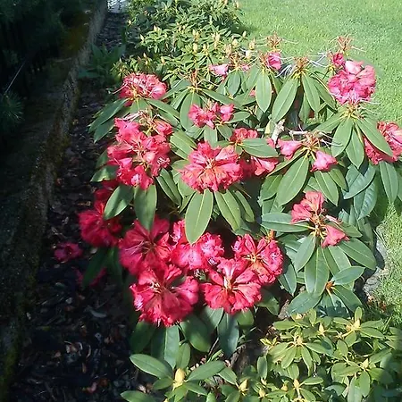 Sniezynka Гостевой дом 3*