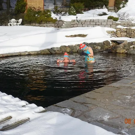 śnieżynka *