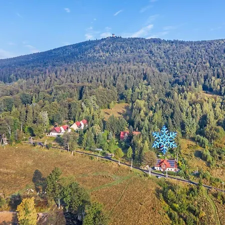 śnieżynka