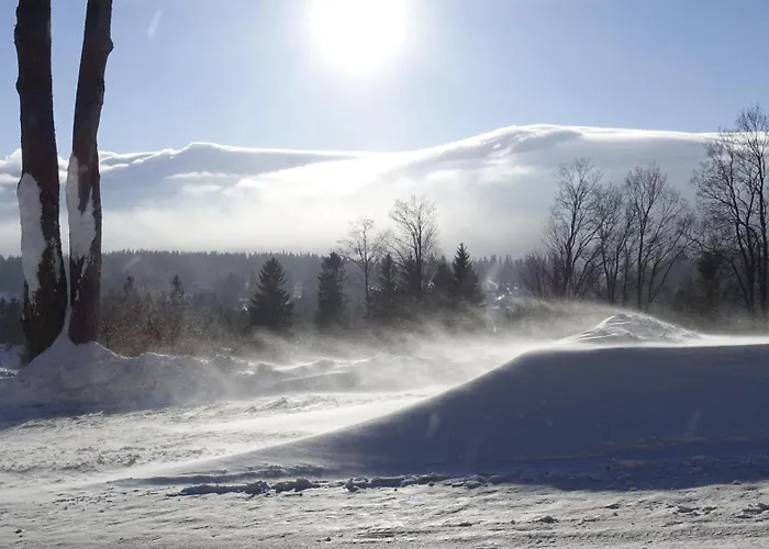 Πανσιόν Sniezynka