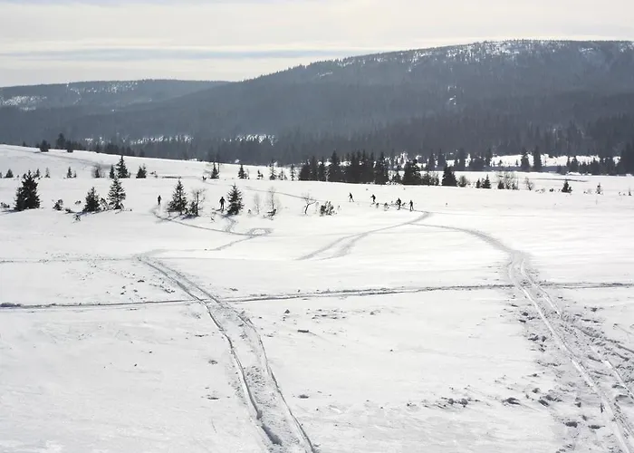 Konukevi Sniezynka Szklarska Poreba
